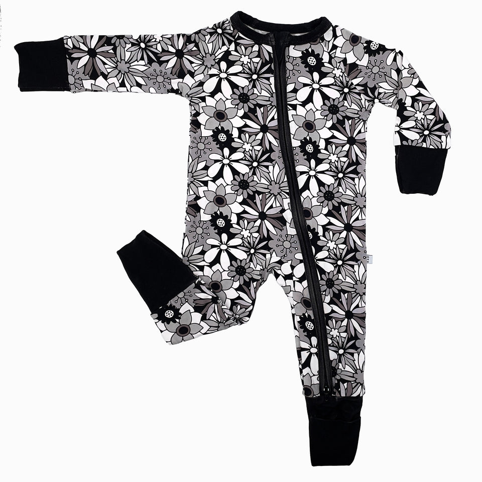 Zippy and Me 【DWE】 Zippy and Me CD&DVD 1〜3 セット Zippy and Me DVD CD ボックス